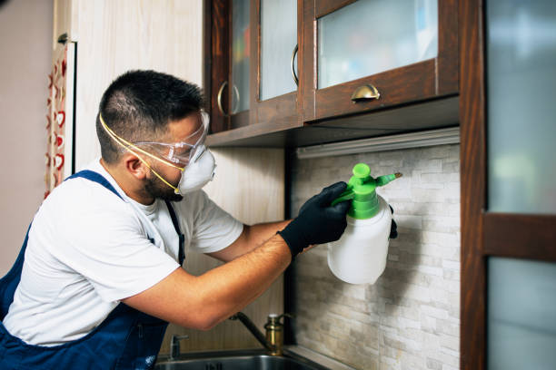 Best Termite Control Services  in San Mateo, CA