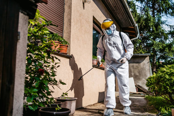 Best Flea Control Services  in San Mateo, CA