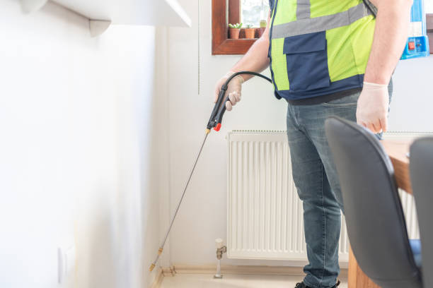 Best Pest Removal Services  in San Mateo, CA