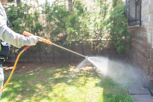 Best Best Pest Control Companies  in San Mateo, CA