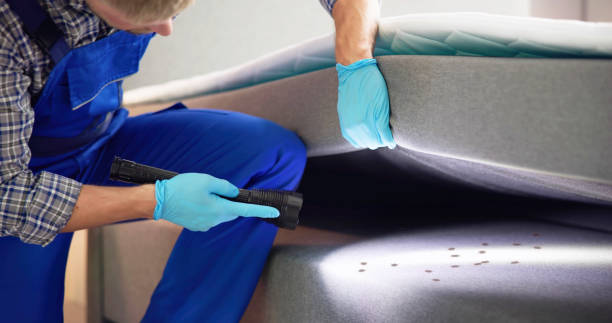 Best Pest Prevention Services  in San Mateo, CA