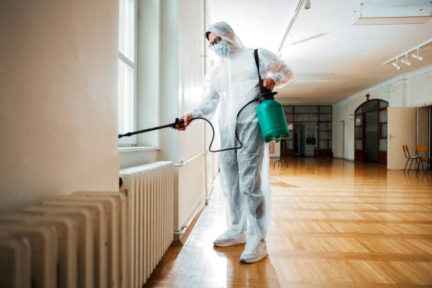 Best Flea Control Services  in San Mateo, CA