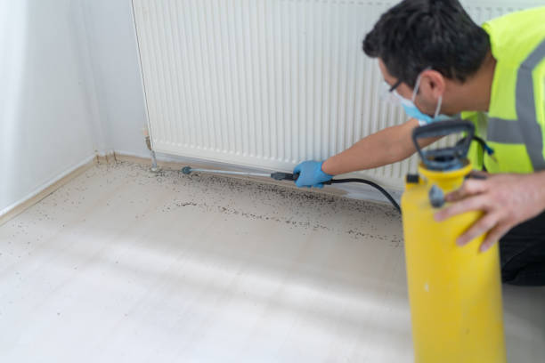 Pest Control for Restaurants in San Mateo, CA