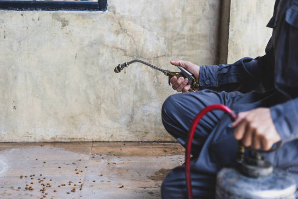 Trusted San Mateo, CA Pest Control Experts